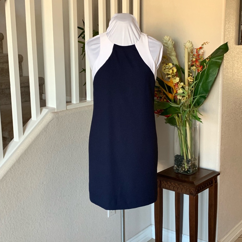 Banana Republic Navy Blue Sleeveless Dress